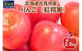 【予約：2026年10月下旬から順次発送】北海道北見市産りんご 紅将軍 約2.5kg ( りんご リンゴ 林檎 果物 フルーツ 期間限定 )【044-0004-2026】