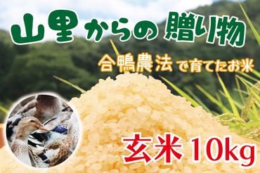 BI002　山里からの贈り物　合鴨農法　令和5年産　米　玄米　10kg
