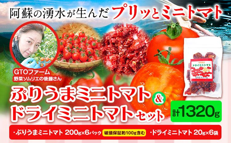 ぷりうまミニトマト ドライミニトマト セット 1320g トマト ミニトマト 野菜 GTOファーム 熊本県 南阿蘇村[30日以内に出荷予定(土日祝除く)]---sms_cgtottdy_30d_r7_18500_1320g---
