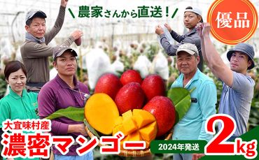 濃密マンゴー《優品・2Kg》【2024年発送】大宜味村農家さんから直送！