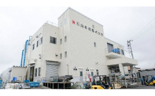 三陸寒さばセット(ふんわり干物・みりん漬け：各 3～4枚(380g)×3パック)　【0tsuchi00422】