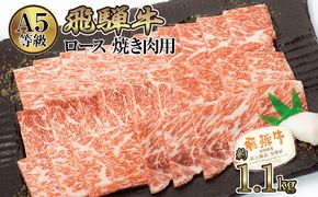 店主こだわり雌牛 飛騨牛A5等級　ロース　焼き肉用　約1.1kg [No.085]