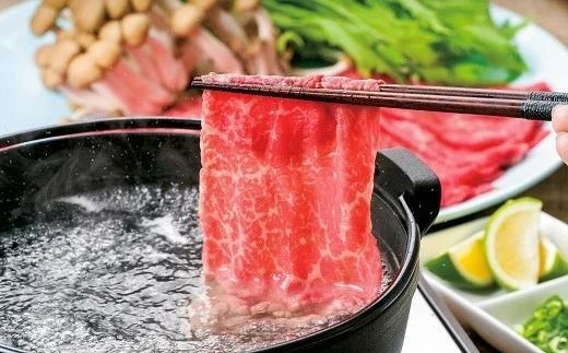 牛肉 (合計500g)豊後・米仕上牛しゃぶしゃぶ食べ比べセット 国産 和牛 九州産 D2-10