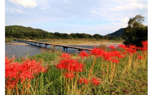 R5-120． 宿泊補助券　5枚（5,000円分）