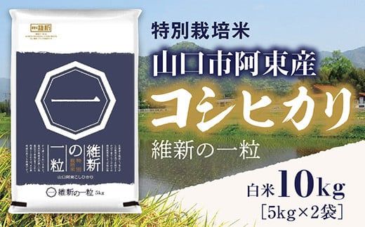 E-191 維新の一粒5kg×2袋（精米）（山口県山口市） | ふるさと納税