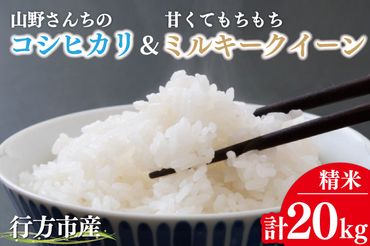 BR-12　【令和5年産】山野さんちのコシヒカリ10kg(精米)＆甘くてもちもちミルキークイーン10kg(精米)