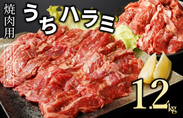 010B1348 【丸善特製ダレ】希少部位 牛肉 うちハラミ 1.2kg（400g×3）