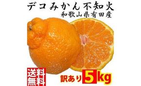 不知火(しらぬい) オレンジ みかん 家庭用 5kg   CE013