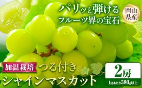 【先行予約】 岡山県産 加温栽培 つる付き シャインマスカット 2房 (580g以上) 【配送不可地域あり】 《7月上旬-8月下旬頃出荷予定》 岡山県 矢掛町 マスカット ぶどう 葡萄 果物---osy_chbf10_ak7_25_31500_2---