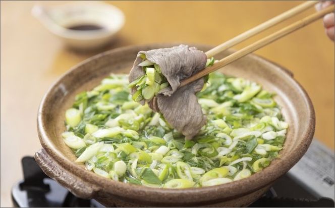 日本海牧場の茶しゃぶしゃぶセット（京たんくろ和牛）　NH00025　牛肉