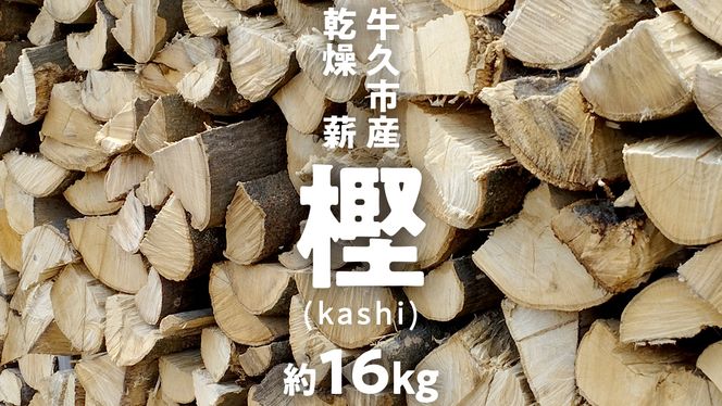 牛久市産 乾燥 薪 樫 ( かし ) 約 16kg 天然木 マキ 乾燥薪 広葉樹 キャンプ アウトドア 焚火 焚き火 薪ストーブ 暖炉 たき火 野外  屋外 バーベキュー薪 ピザ窯の薪 グリル焼 [DP007us]（茨城県牛久市） | ふるさと納税サイト「ふるさとプレミアム」