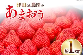 【期間限定発送】いちご 津田くん農園のあまおう 約1kg [くしだ企画 福岡県 筑紫野市 21760719] 苺 あまおう イチゴ 福岡 期間限定