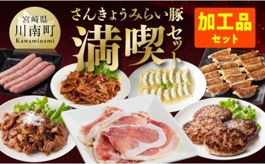 加工食品 さんきょうみらい豚 満喫セット （加工品） 【 満喫 セット 精肉 豚肉 国産 九州産 宮崎県産 川南町産 ウデ モモ 鉄板焼き みそ漬け 味噌漬け 生ハム ハンバーグ 簡単調理】 ☆ [E0102c]