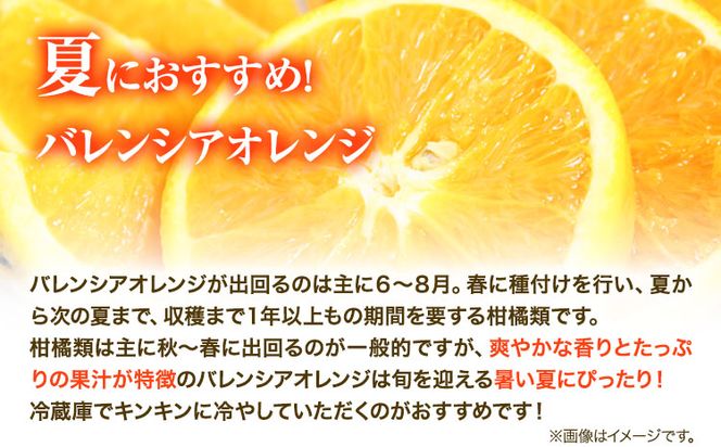 【ご家庭用訳あり】【先行予約】希少な国産バレンシアオレンジ 約7kg 株式会社魚鶴商店《2025年6月下旬-7月上旬出荷》和歌山県 日高町---wsh_uot51_6g7j_24_16000_7kg---