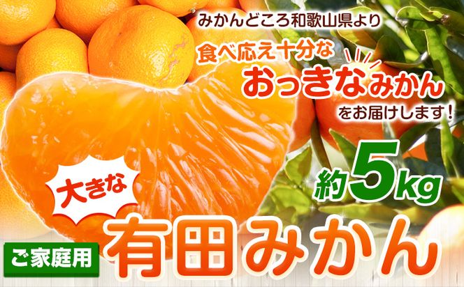 ＜先行予約＞家庭用 大きな有田みかん 5kg+150g（傷み補償分）【わけあり・訳あり】【光センサー選果】 池田鹿蔵農園@日高町（池田農園株式会社）《11月中旬-2月中旬頃出荷》和歌山県 日高町---wsh_idn60_11c2c_24_7000_5kg---