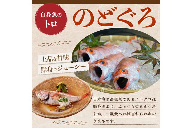 【北畿水産 鮮の匠】のどぐろ一夜干し3匹セット　HK00213