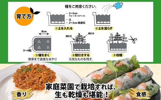 北海道 生スパイスの土 5L 2kg 1袋 培養土 スパイス 土 肥料入り 家庭菜園 プランター ハーブ 畑 土づくり 初心者 パクチー 栽培 コリアンダー クミン 送料無料 十勝 士幌町【F16】