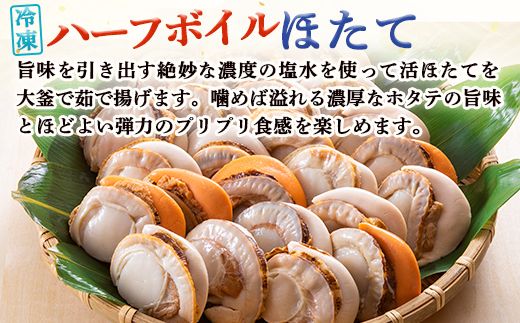 北隆丸 冷凍ほたてセット ほたて貝柱500ｇ（20～40玉）・ハーフボイルほたて500ｇ（15～17個）オホーツク産（ホタテ 冷凍 海鮮 大粒 北海道 オホーツク）【16023】