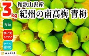 【2025年6月上旬出荷】青梅 南高梅 3kg 秀品 サイズミックス  和歌山県産 A品 梅酒作り用 梅ジュース作り用