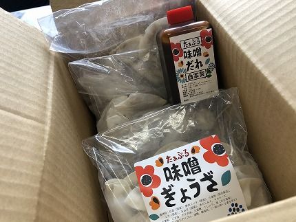 【定期便全3回】3ヶ月に1回お届け 居酒屋のおかあちゃん手作り ひと口味噌ぎょうざ 120個（30個×4袋） H136-041