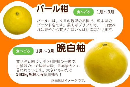 柑橘詰め合わせセット(5種類・10kg以上) 山本果樹園《12月上旬-1月末頃出荷》果物 フルーツ みかん---sh_ymmtbox_ad121_24_16000_10kg---