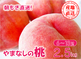 【2025年発送分】矢崎さん家のもも 6～13玉 （約2.5kg）桃 もも モモ ピーチ 山梨県産 フルーツ くだもの 果物 産地直送 夢桃香 加納岩白桃 白鳳 なつっこ 浅間白桃 川中島白桃 白桃 先行予約