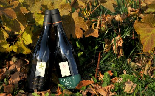 三國シェフ推奨！山崎ワイン(赤・白２本セット)各750ml【01008】