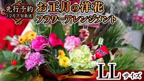 【 お正月 の お花 】 洋花 ＊ フラワー アレンジメント LL お正月 花 生花 縁起物 フラワーアレンジメント ギフト [CT054ci]