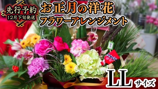 【 お正月 の お花 】 洋花 ＊ フラワー アレンジメント LL お正月 花 生花 縁起物 フラワーアレンジメント ギフト [CT054ci]