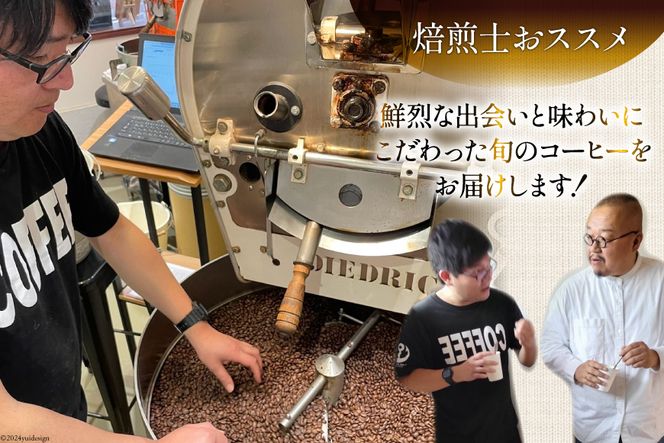コーヒー 焙煎士おススメ コーヒー豆 セット 200g 3種 計600g [アンカーコーヒー 宮城県 気仙沼市 20565128] 珈琲 珈琲豆 焙煎 自家焙煎