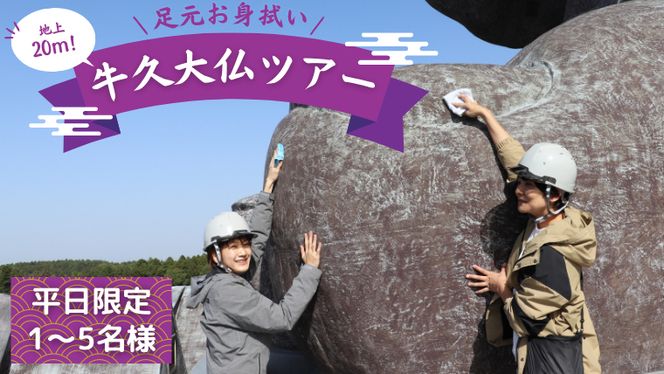 y錧vszn20 v啧  g@ ̌ cA[    i 5l܂ j ݐ Q ̌`Pbg ό ӂ邳Ɣ[Ō [DR004us]