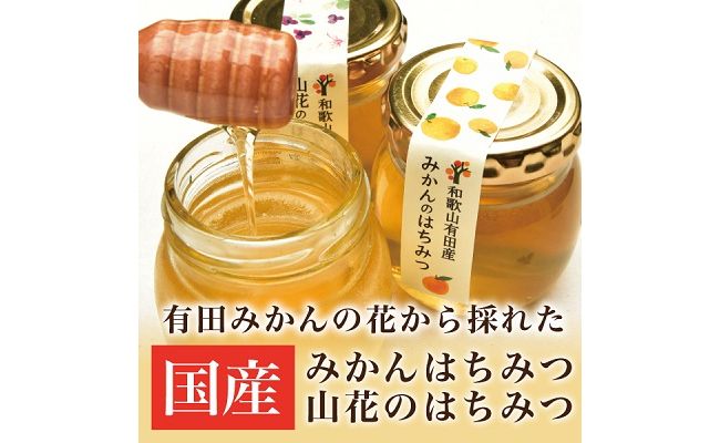 ya̎RLcsz44.݂݂̂͂RԂ݂̂͂(A44-1)