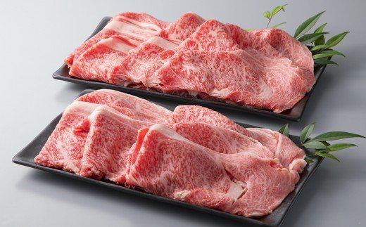 yꌧszyA-005zgX ߍ][X؂藎Ƃv800g mIin