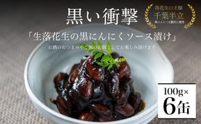 黒い衝撃　生落花生の黒にんにくソース漬け 100g×6缶 SMBA004