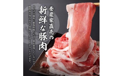 宮崎県産豚肉 小野さんちの豚肉 切り落とし 2.5kg 【 豚肉 豚 肉 宮崎県産 小分け パック 便利 】 [E10505]
