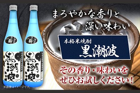 本格米焼酎 黒潮波 （くろしおなみ） 720ml×2本 厳選館《90日以内に出荷予定(土日祝除く)》 和歌山県 日高川町 酒 本格米焼酎 焼酎 米焼酎---wshg_genkn_90d_22_13000_2p---