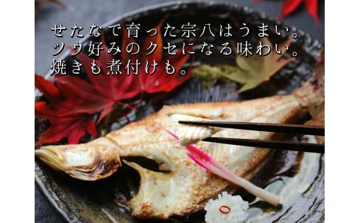 【リピーター続出！】北海道産 宗八かれい 大サイズ10枚(約2kg) カレイ 一夜干し 漁師直送 干物 煮付け 塩焼き 唐揚げ 海鮮 せたな町 ふるさと納税