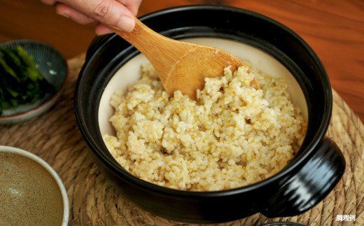 ＜令和7年度産＞玄米で健康促進！『定期便3回』北海道産ゆめぴりか10kg《令和７年10月頃より発送予定》【3900502】