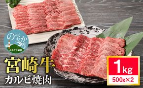 宮崎牛 カルビ 焼肉　1kg 4～5人前　N0140-ZA544