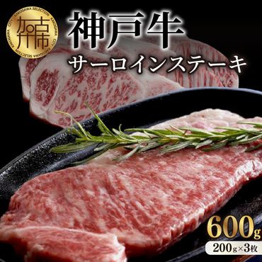 神戸牛サーロインステーキ(200g×3枚)《 肉 牛肉 牛 神戸牛 国産牛  サーロイン ステーキ 》【2407A00117】