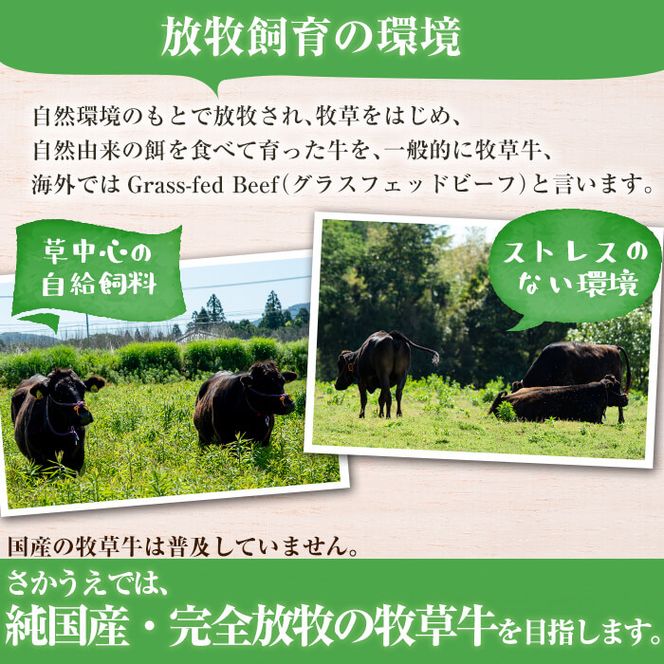 牧草育ちの里山牛100％使用！粗挽きミンチ 計1kg a5-190