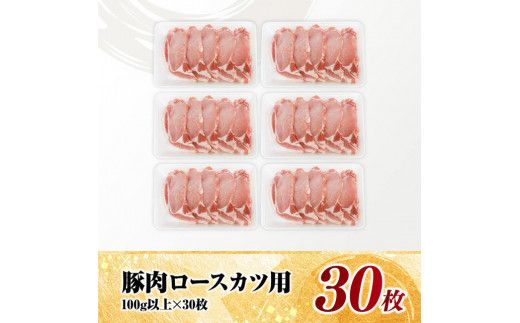 宮崎県産豚肉　ロースとんかつ用（100g以上×30枚） 【 豚肉 豚 肉 宮崎県産 ロースカツ 送料無料 】[C11620