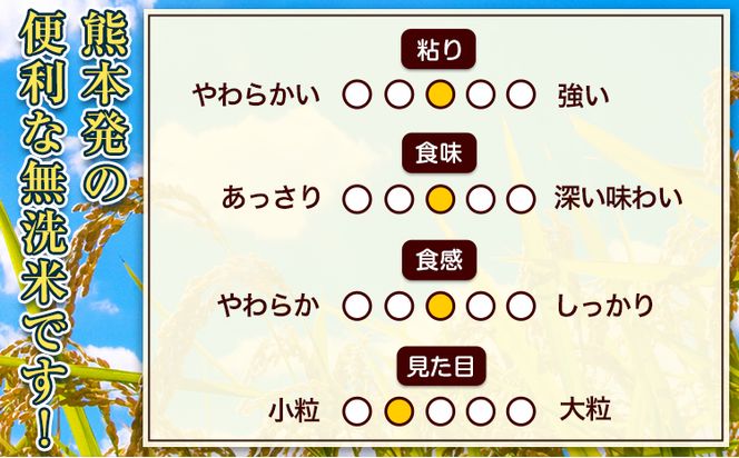 【3ヶ月定期便】無洗米 訳あり 熊本ふるさと無洗米 12kg《お申込み月の翌月から出荷開始》 熊本県産 無洗米 12kg 精米 御船町 計3回お届け 10kg 以上 米 コメ 6kg×2袋 無洗米 ヒノヒカリ 使用 訳あり おこめ お米 熊本 ふるさと無洗米---fmstei_36000_12kg_mo3num1---