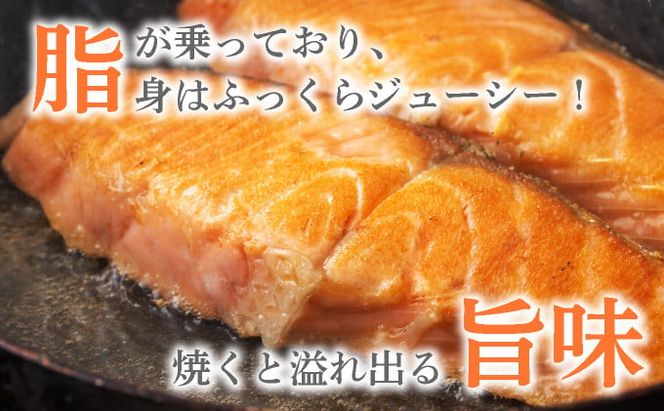 《訳あり》一汐シャケ 厚切り銀鮭切り身 2.0kg