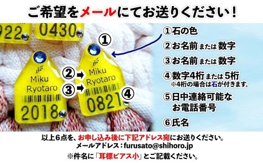 ふるさと納税 アクセサリー ピアス 北海道 士幌町 北海道 耳標 牛 ピアス イヤリング 選べる オリジナル アクセサリー 藤内牧場 ハンドメイド セミオーダー 名… 北海道 耳標 牛 ピアス イヤリング 選べる オリジナル