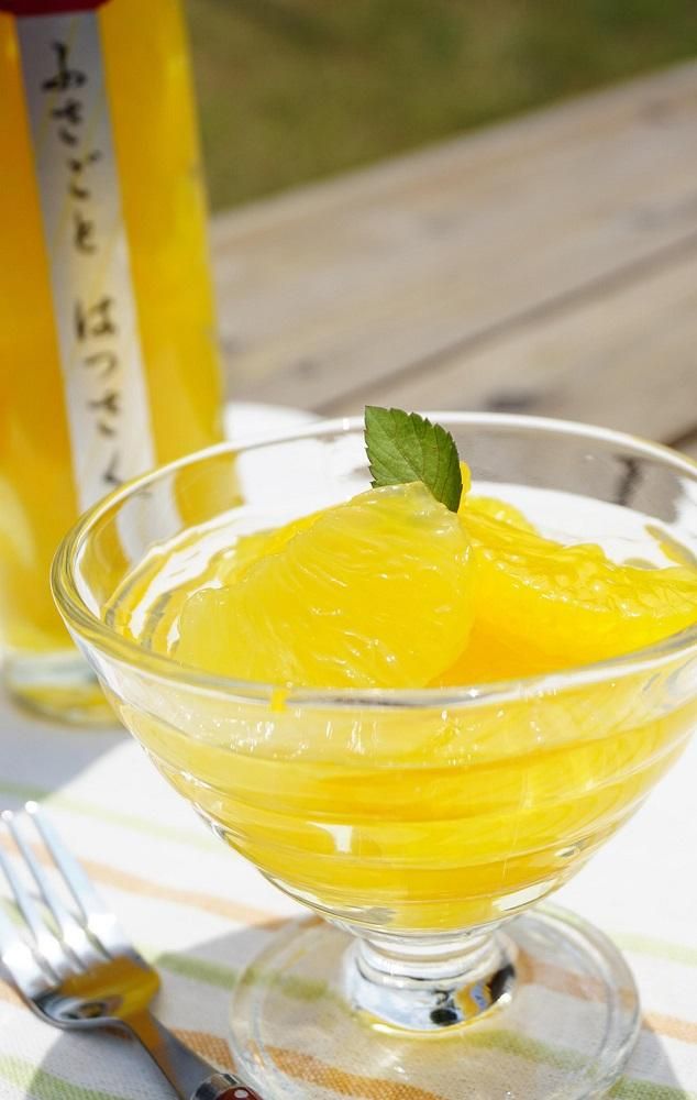 わかやまコンポートセット　T140