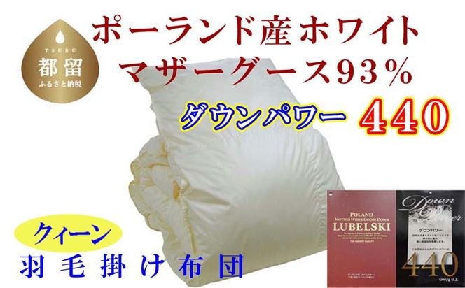 CK348　羽毛布団【ポーランド産マザーグース93%】羽毛掛け布団 クィーン 220×210cm【ダウンパワー440】