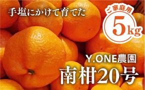 【先行受付】【数量限定】【家庭用】南柑20号（生果）5kg｜柑橘 みかん 温州みかん ミカン 蜜柑 果物 フルーツ 愛媛県産 ※2024年12月上旬頃より順次発送予定