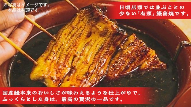  鹿児島県産 有頭 鰻 蒲焼 × 2尾 （ 1尾 135g ～ 155g 以上） うなぎ ウナギ 土用丑の日 家庭用 贅沢 国産 旬 敬老の日 タレ 山椒 付 縁起 土用の丑の日 [DQ007us]