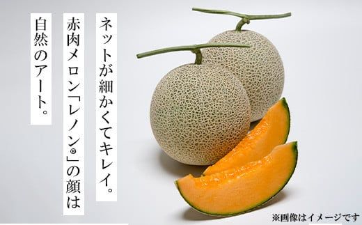 【先行予約】レノンハート2個　※離島への配送不可　※2026年5月下旬～6月下旬頃に順次発送予定